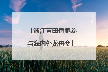 浙江青田侨胞参与海内外龙舟赛