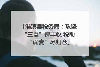 淮滨县税务局：攻坚“三夏”保丰收 税助“弱麦”尽归仓