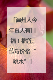 温州人今年夏天有口福！榴莲、蓝莓价格“跳水”