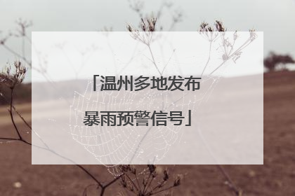 温州多地发布暴雨预警信号
