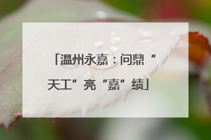 温州永嘉：问鼎“天工”亮“嘉”绩