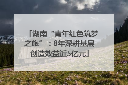湖南“青年红色筑梦之旅”：8年深耕基层创造效益近5亿元