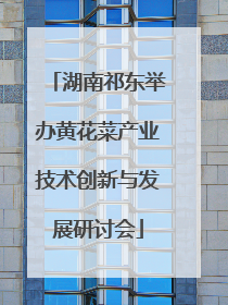湖南祁东举办黄花菜产业技术创新与发展研讨会