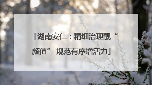 湖南安仁：精细治理靓“颜值” 规范有序增活力