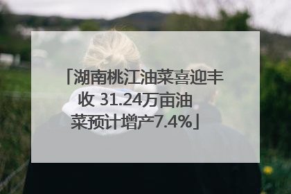 湖南桃江油菜喜迎丰收 31.24万亩油菜预计增产7.4%