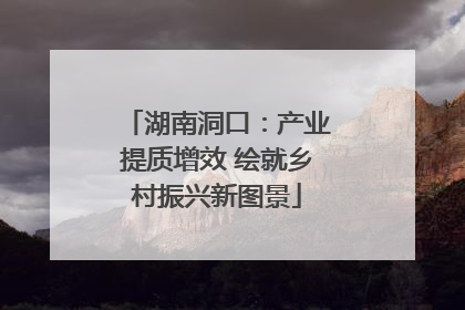 湖南洞口：产业提质增效 绘就乡村振兴新图景