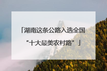 湖南这条公路入选全国“十大最美农村路”