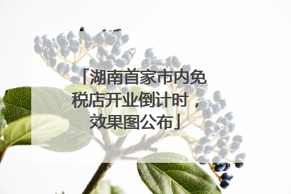 湖南首家市内免税店开业倒计时，效果图公布