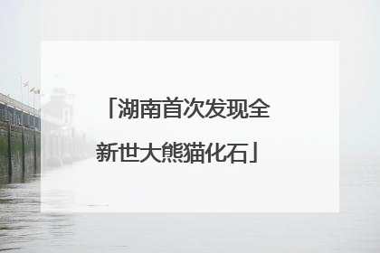 湖南首次发现全新世大熊猫化石