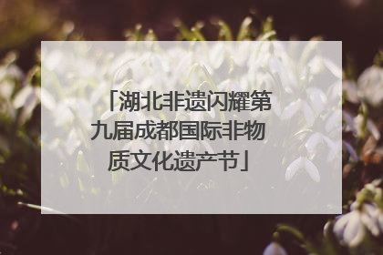 湖北非遗闪耀第九届成都国际非物质文化遗产节