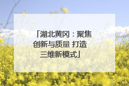 湖北黄冈：聚焦创新与质量 打造三维新模式