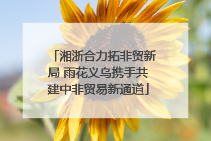 湘浙合力拓非贸新局 雨花义乌携手共建中非贸易新通道