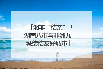 湘非“结亲”！湖南八市与非洲九城缔结友好城市