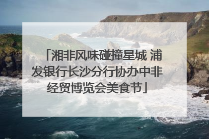湘非风味碰撞星城 浦发银行长沙分行协办中非经贸博览会美食节