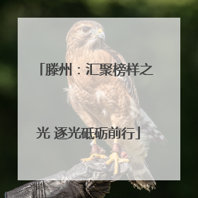 滕州：汇聚榜样之光 逐光砥砺前行