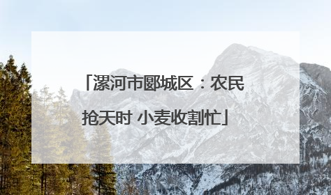 漯河市郾城区：农民抢天时 小麦收割忙