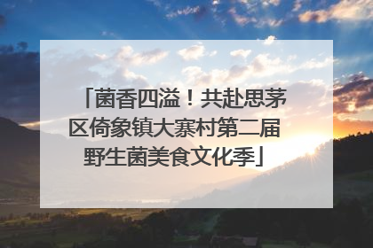 菌香四溢！共赴思茅区倚象镇大寨村第二届野生菌美食文化季
