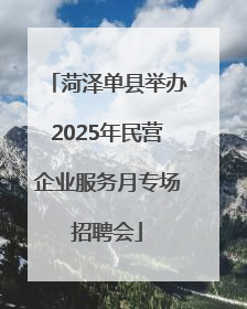 菏泽单县举办2025年民营企业服务月专场招聘会