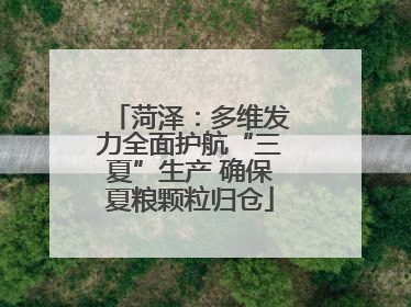 菏泽：多维发力全面护航“三夏”生产 确保夏粮颗粒归仓