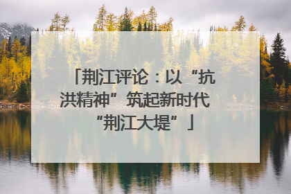 荆江评论：以“抗洪精神”筑起新时代“荆江大堤”