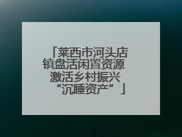 莱西市河头店镇盘活闲置资源 激活乡村振兴“沉睡资产”