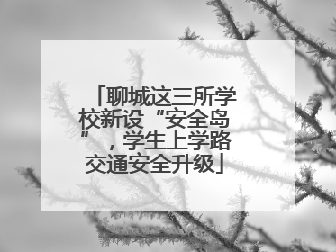 聊城这三所学校新设“安全岛”，学生上学路交通安全升级