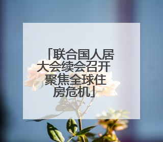 联合国人居大会续会召开 聚焦全球住房危机