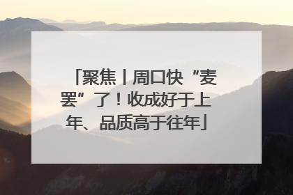 聚焦丨周口快“麦罢”了！收成好于上年、品质高于往年
