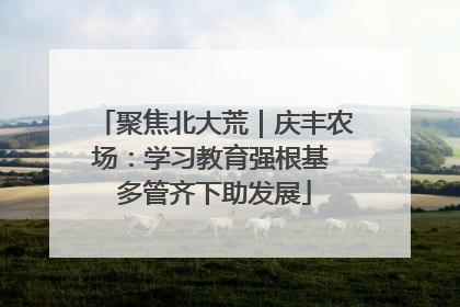聚焦北大荒｜庆丰农场：学习教育强根基 多管齐下助发展