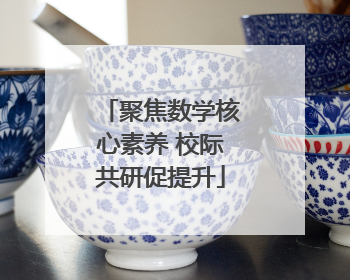 聚焦数学核心素养 校际共研促提升