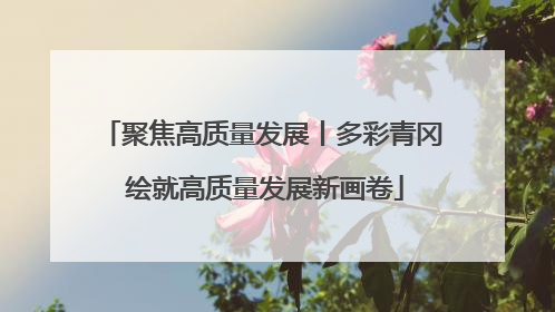 聚焦高质量发展丨多彩青冈 绘就高质量发展新画卷