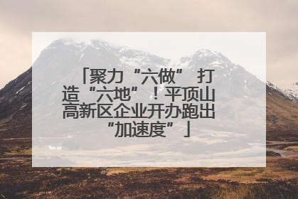 聚力“六做” 打造“六地”！平顶山高新区企业开办跑出“加速度”