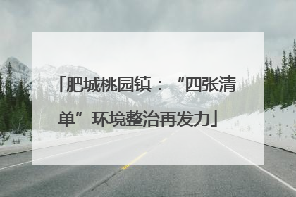 肥城桃园镇：“四张清单”环境整治再发力