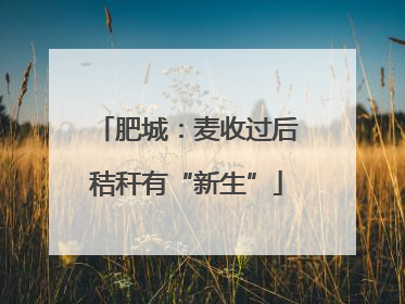 肥城：麦收过后秸秆有“新生”