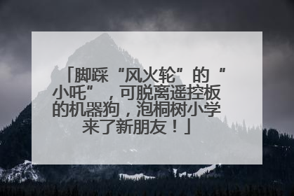 脚踩“风火轮”的“小吒”，可脱离遥控板的机器狗，泡桐树小学来了新朋友！