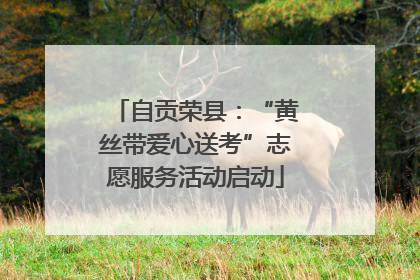 自贡荣县：“黄丝带爱心送考”志愿服务活动启动