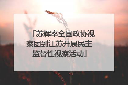苏辉率全国政协视察团到江苏开展民主监督性视察活动