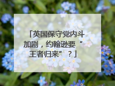 英国保守党内斗加剧，约翰逊要“王者归来”？