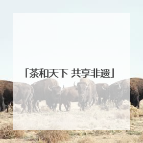 茶和天下 共享非遗