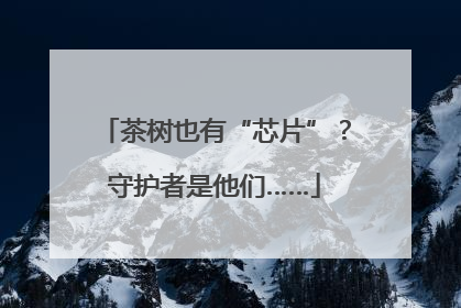 茶树也有“芯片”？守护者是他们……