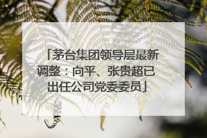 茅台集团领导层最新调整：向平、张贵超已出任公司党委委员