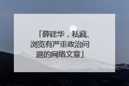 薛建华，私藏、浏览有严重政治问题的网络文章