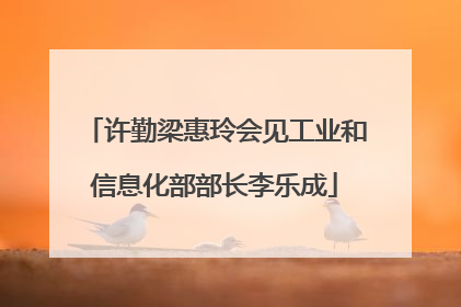 许勤梁惠玲会见工业和信息化部部长李乐成
