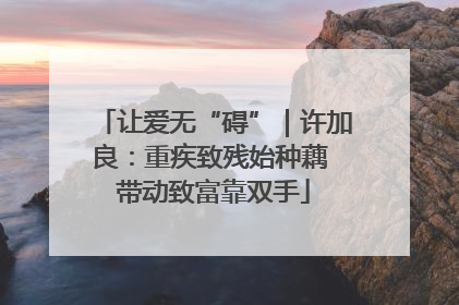 让爱无“碍”｜许加良：重疾致残始种藕 带动致富靠双手