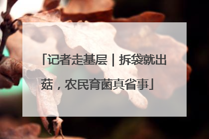 记者走基层｜拆袋就出菇，农民育菌真省事