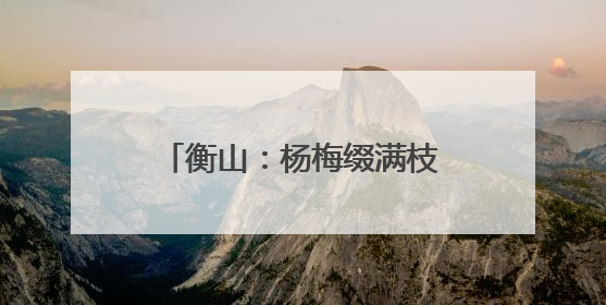 衡山：杨梅缀满枝 采摘尝鲜正当时