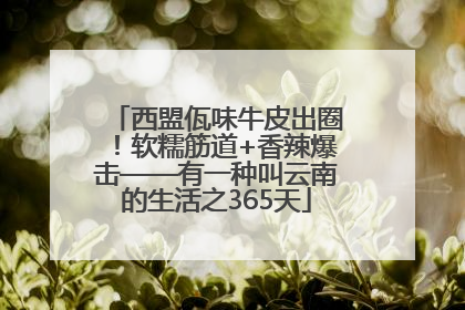 西盟佤味牛皮出圈！软糯筋道+香辣爆击——有一种叫云南的生活之365天