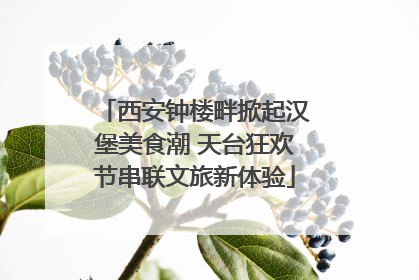 西安钟楼畔掀起汉堡美食潮 天台狂欢节串联文旅新体验