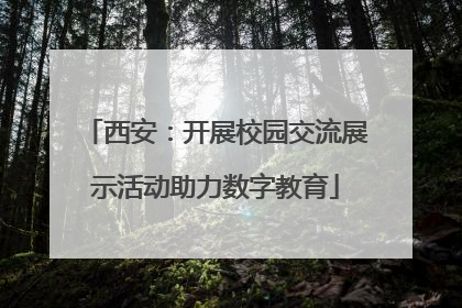 西安：开展校园交流展示活动助力数字教育
