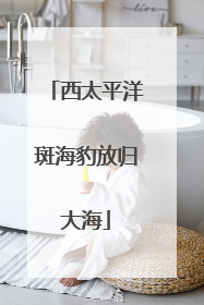 西太平洋斑海豹放归大海